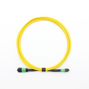 MPO MTP Jumper 8/12/24 Core Sm mm Fiber Optic Patchcord Cable