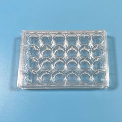CE Approved 24-Well Culture Plate
