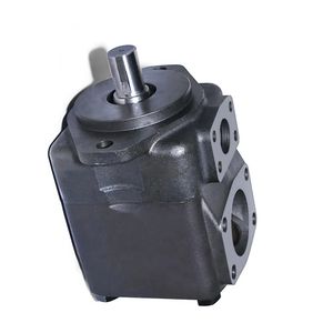 Vickers Hydraulic Double Vane Pump 45vq in Stock