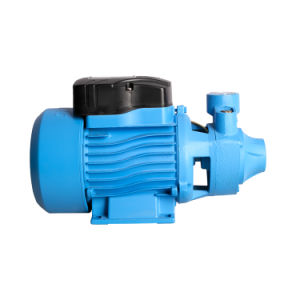 Fixtec Water Pumping Machine 750W 1HP Peripheral Water Pumps for Irrigation and Agriculture