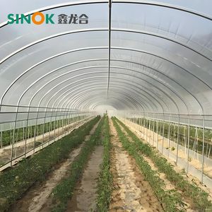 Agricultural High Yield Farm Tunnel Greenhouse for Vegetable Cultivation