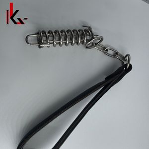 OEM Available Retractable Spring Powerful Springs Torsion Springs