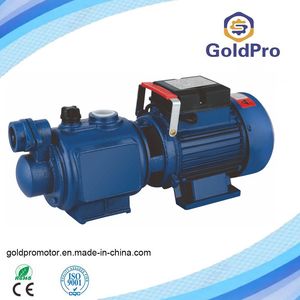 Zgd1100 Super Sutcion Pump for Nepal Market Cast Iron Motor House 100% Copper Wire