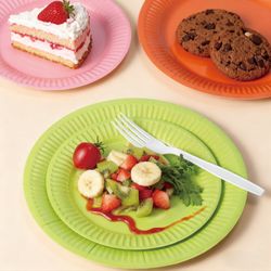 Natural Eco Friendly Biodegradable Compostable Disposable 9 Inch Paper Plates