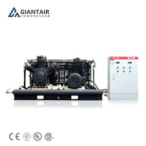 30bar 40bar Booster Pump High Pressure Air Compressor for Pet Blow Moulding Machine