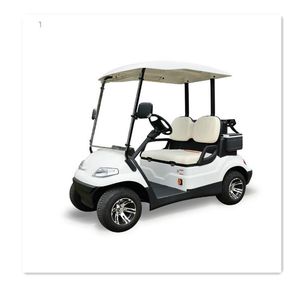 Wholesale 2 Seater Electric Golf Car with 48V/3.7 Kw DC Motor