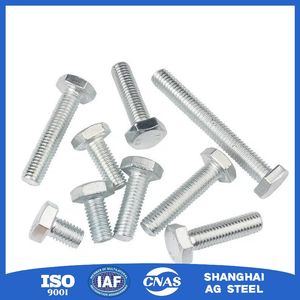 Stainless Steel 316 Lag Bolt for Decking, Fencing, and Outdoor Wood Structure