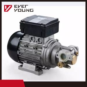 Hot Products AC Mini Sealless Gear Oil Pump