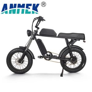 Factory Outlet 26inch Electric Fat Tyre Bicycle Big Power 48V 750W/1000W Electric Mountain Bike Electric Bike