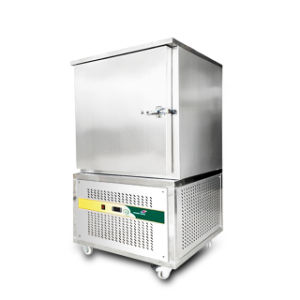 150L Commercial Small-Scale Refrigerator Industrial Blast Freezer Machines for Fish /Meat/Fruit with Single Folding Door (304 Stainless Steel CE)
