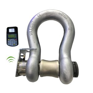 Electronic Digital Wireless Printer Weighing Dynamometer Sensors Shackle Print Crane Scales