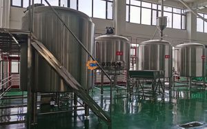 High-Quality Stainless Steel Home Brewing Machine for Wine and Beer