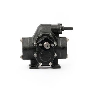 Electric Oil Transfer Crude /Diesel /Heavy/Lubrication Oil Gear Oil Pump