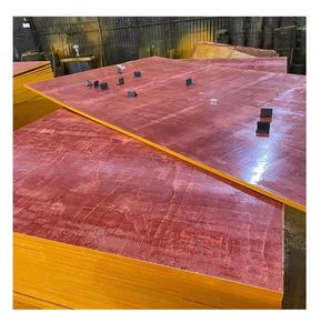 Mold and Worm Resistant 20mm Film Faced Bamboo Board