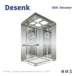 Luxury and Elegant Home Lift Villa Elevator with OEM ODM Service