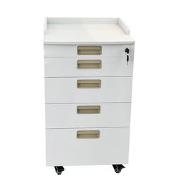 Moveable Medical Equipment Stainless Steel Dental Cabinet for Dental Clinic
