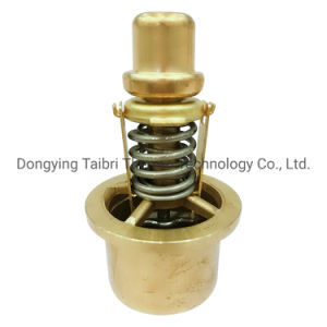 Thermostatic Valve Replace for Wartsila 46635