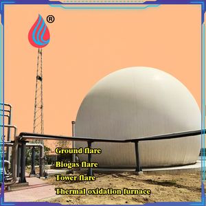 Biogas Purification Storage System for Industrial Tank Application