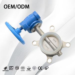 Cryogenic Gear Operated Stainless Steel Wafer Type Butterfly Valve for Industrial Use