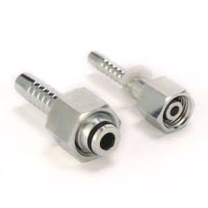 Metric Female 24degree Cone O-Ring L. T. Hydraulic Fitting
