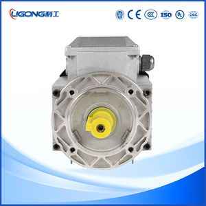 Three-Phase Asynchronous Motor Aluminum Housing 0.75kw, 1.1kw 1.5kw 2.2kw 3kw (Frame 100L)