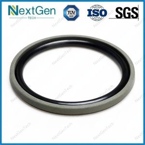 Hydraulic Cylinder Piston Rod Seal No Gsf Gly Ring