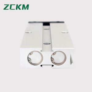 Tn Series Double Shaft Dual Rod Air Cylinder Double Acting with Magnet