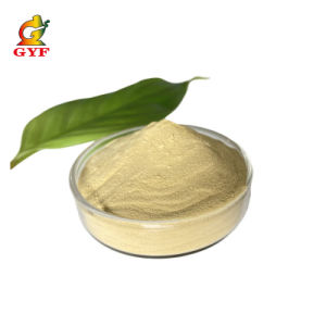 High Quality CAS 9001-62-1 Food Grade Lipase Enzyme