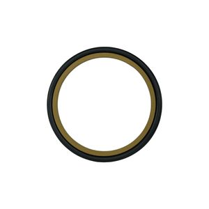 Indel Hbts Bsjptfe with O Ring Rod Seal Step Seal with Best Quality for All Kinds Cylinders