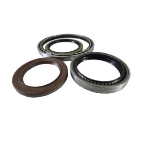 Auto Parts Automobile Mechanical Radial Shaft Oil Seal with Double Lip in Stainless Steel