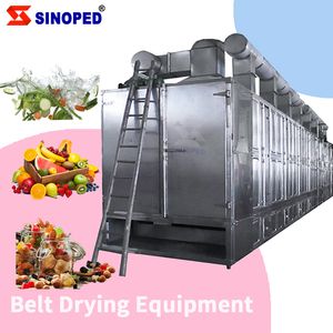 Customized Design of High Quality Precision Cost-Effective Belt Dryer Energy-Saving Dw Multi-Layer Industrial Mesh Belt Drying Equipment