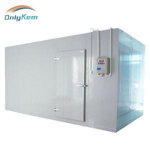 16*8*8FT Walk in Cold Storage Monoblock Refrigerator Freezer Cold Room