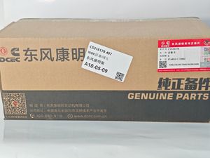 Original Cummins 5316178 Tp Engine Piston for Qsb7 Qsb4.5 Qsb6.7 Isf4.5 5316178 5259407 Construction Machinery Parts Dcec