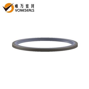 Voneseals Heavy Duty Hydraulic Cylinder Wiper Seals Designed for Excavators, Mining Equipment and Construction Machinery China Factory