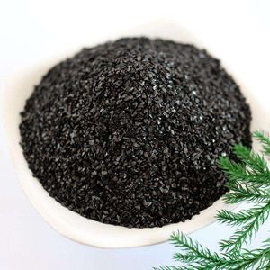 Fruit Shell Activated Carbon Water Filtration