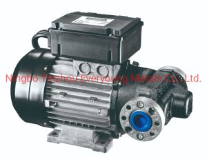 AC Diesel Transfer Pump 750W 100L/Min with CE 220V-240V Electric Fuel Transfer Pump