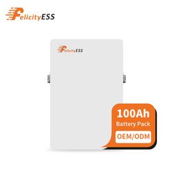 Felicityess Battery 5.12kwh LiFePO4 Battery Solar Home Energy Storage 48V 100ah Lithium Ion Battery Pack
