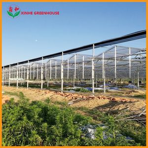 Intelligent Multi-Span Agriculture Glass Greenhouse with Nft Hydroponic System