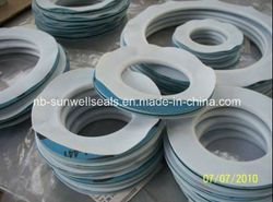 Good Quality PTFE Envelope Gaskets with PTFE Jacketed (SUNWELL)