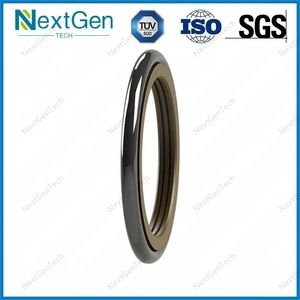 High Quality Hydraulic Cylinder Glyd Piston Seal PTFE Bronze NBR/FKM OE Rotary Ring Type Seal