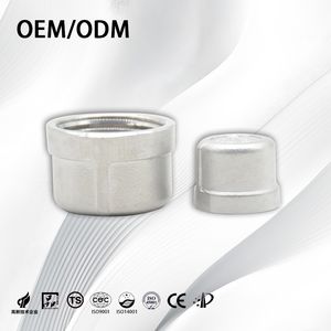 Stainless Steel Industry ANSI High-Pressure Female Threaded Tube End Cap with Sandblasting