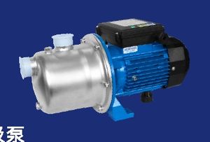 Reliable Series Stainless Steel Pump Designed for Constant Pressure Water Supply Solutions