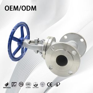 Stainless Steel Non-Standard Manual Vertical Flange Globe Valve for Liquid
