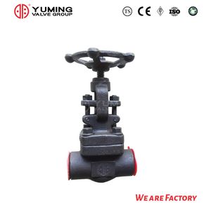 ANSI/API/ASME Forged Steel Thread/Weld Globe Valve
