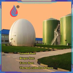 Biogas System for Comprehensive Energy Utilization & Organic Waste Decomposition