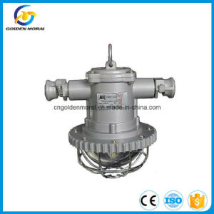 Explosion-Proof LED Laneway Light New 2023