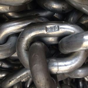 Custom Steel Powder Coated 2 Leg Slings Adjustable and Lifting Chain