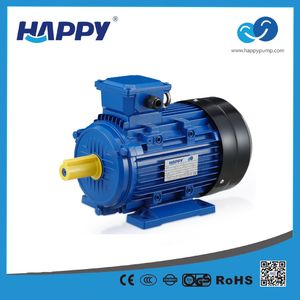 China Zhejiang 380V Electric Asynchronous 3 Phase Motor (MS)