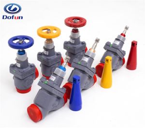 Use for Ammonia System Freon System Cold Storage Stop Check Valve
