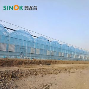 Agriculture Tunnel Po Film Greenhouse for Flowers